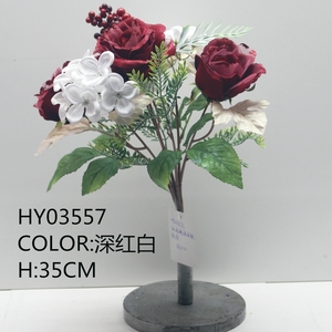 HY03557 ����