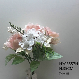 HY03557H  ��+��