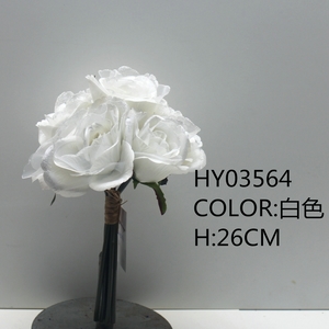 HY03564 ��ɫ