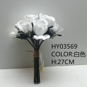 HY03569  ��ɫ