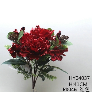 HY04037