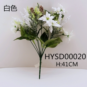 HYSD00020 ��ɫ