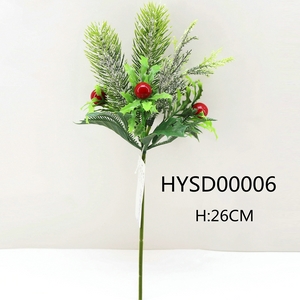 HYSD00006