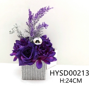 HYSD00213