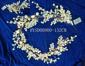 HYSD00800(�еƣ�