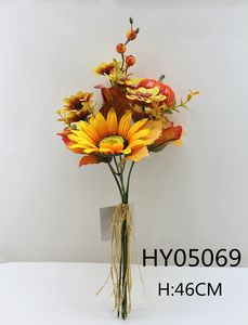 HY05069