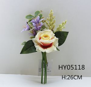 HY05118