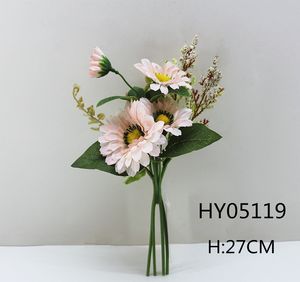 HY05119