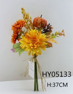 HY05133