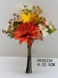 HY05234