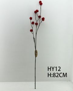 HY12