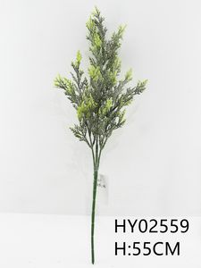 HY02559