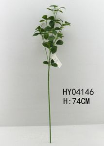 HY04146