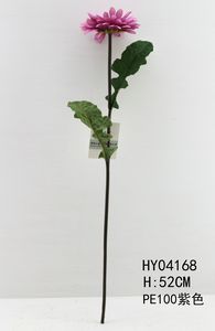 HY04168
