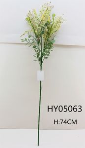 HY05063