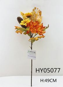 HY05077