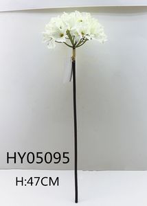 HY05095