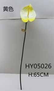 HY05026
