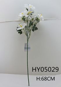 HY05029