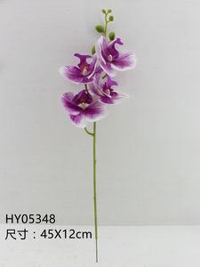 HY05348