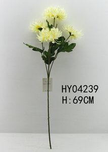 HY04239
