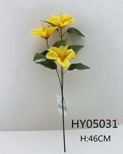 HY05031