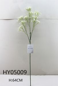 HY05009