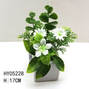 HY05228