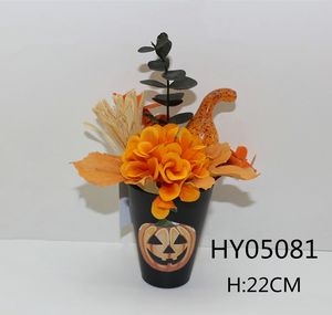 HY05081