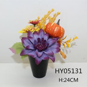HY05131