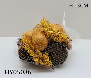 HY05086
