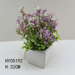 HY05226
