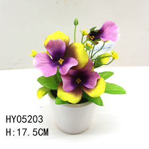 HY05203