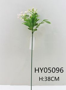 HY05096