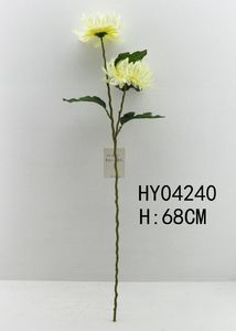 HY04240