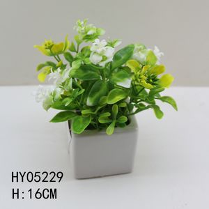 HY05229