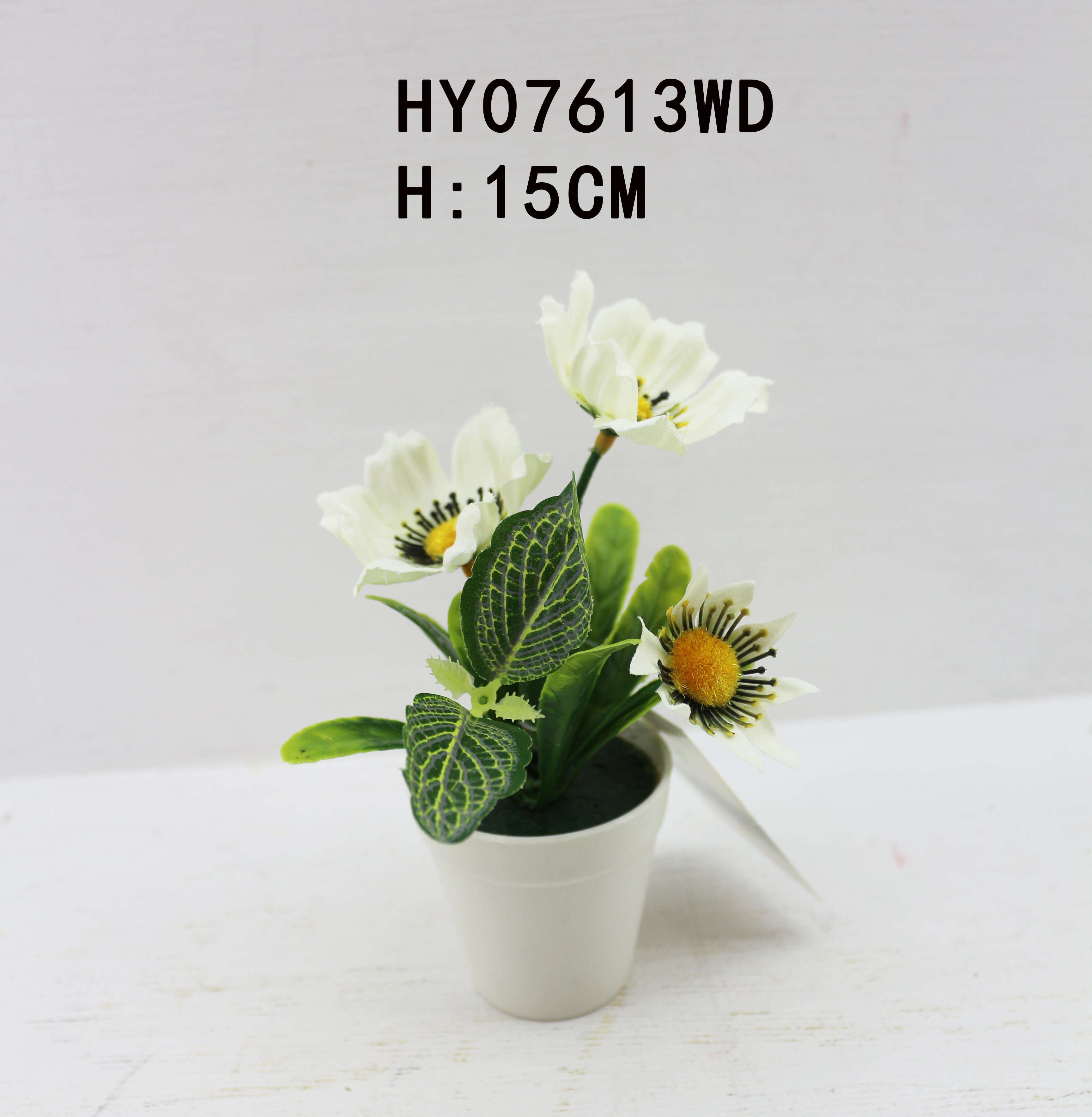 HY07613WD