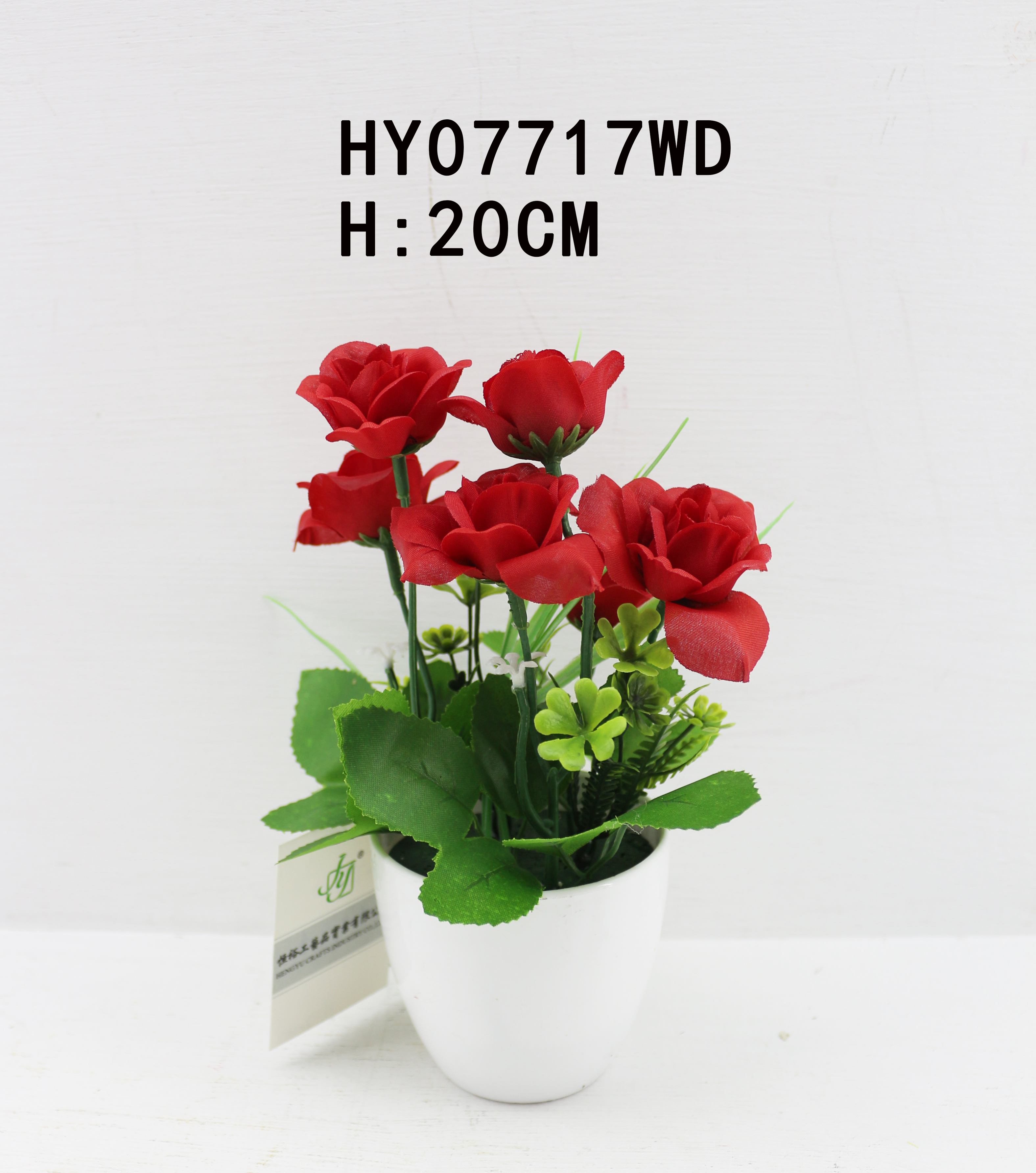 HY07717WD
