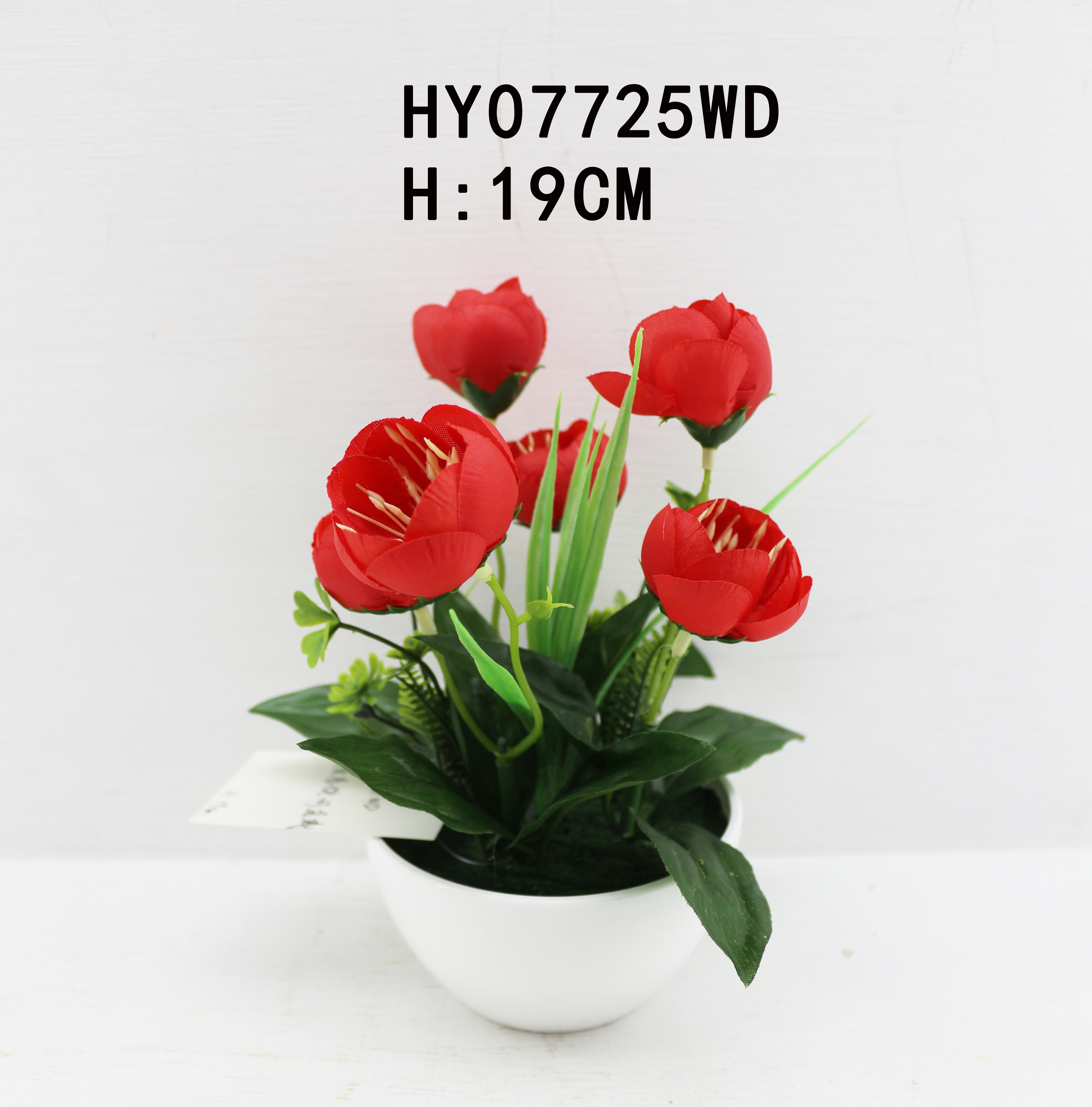 HY07725WD