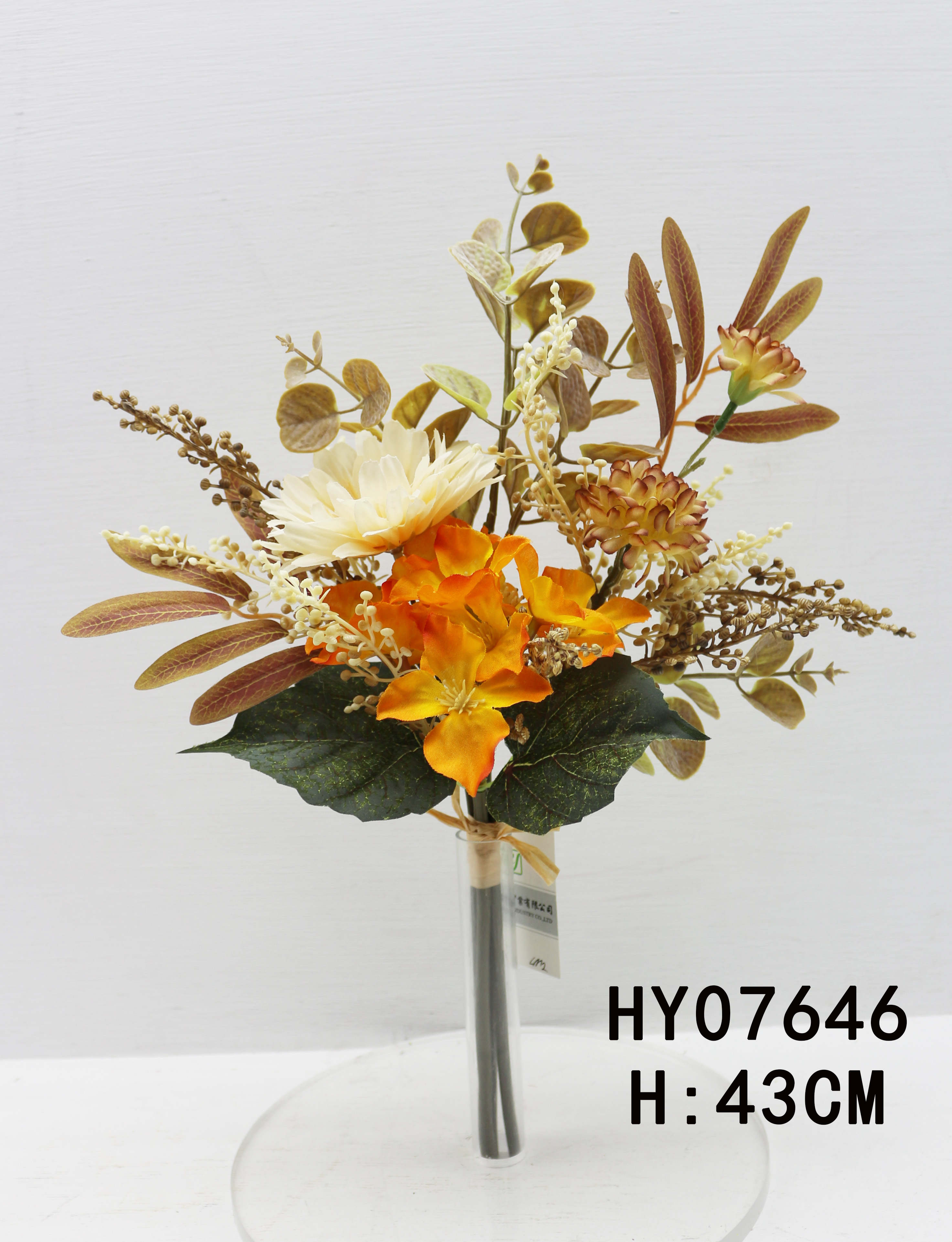 HY07646