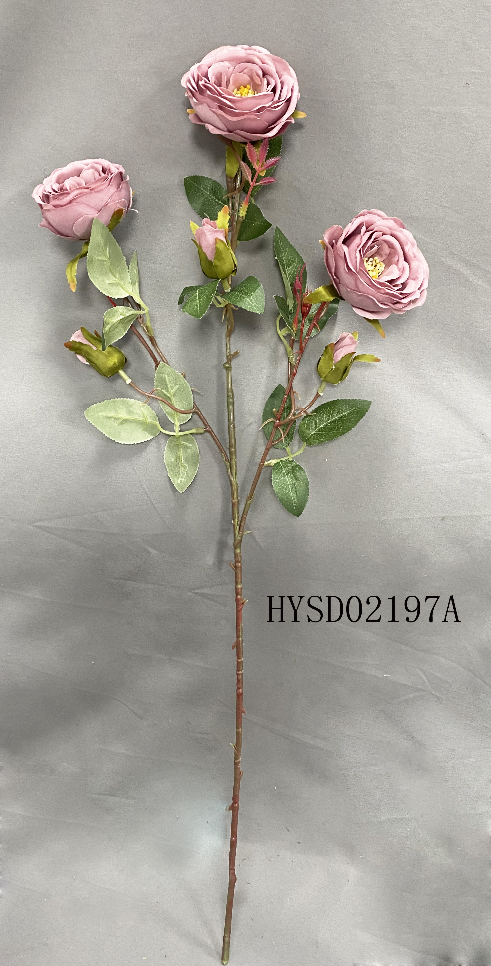 HYSD02197A