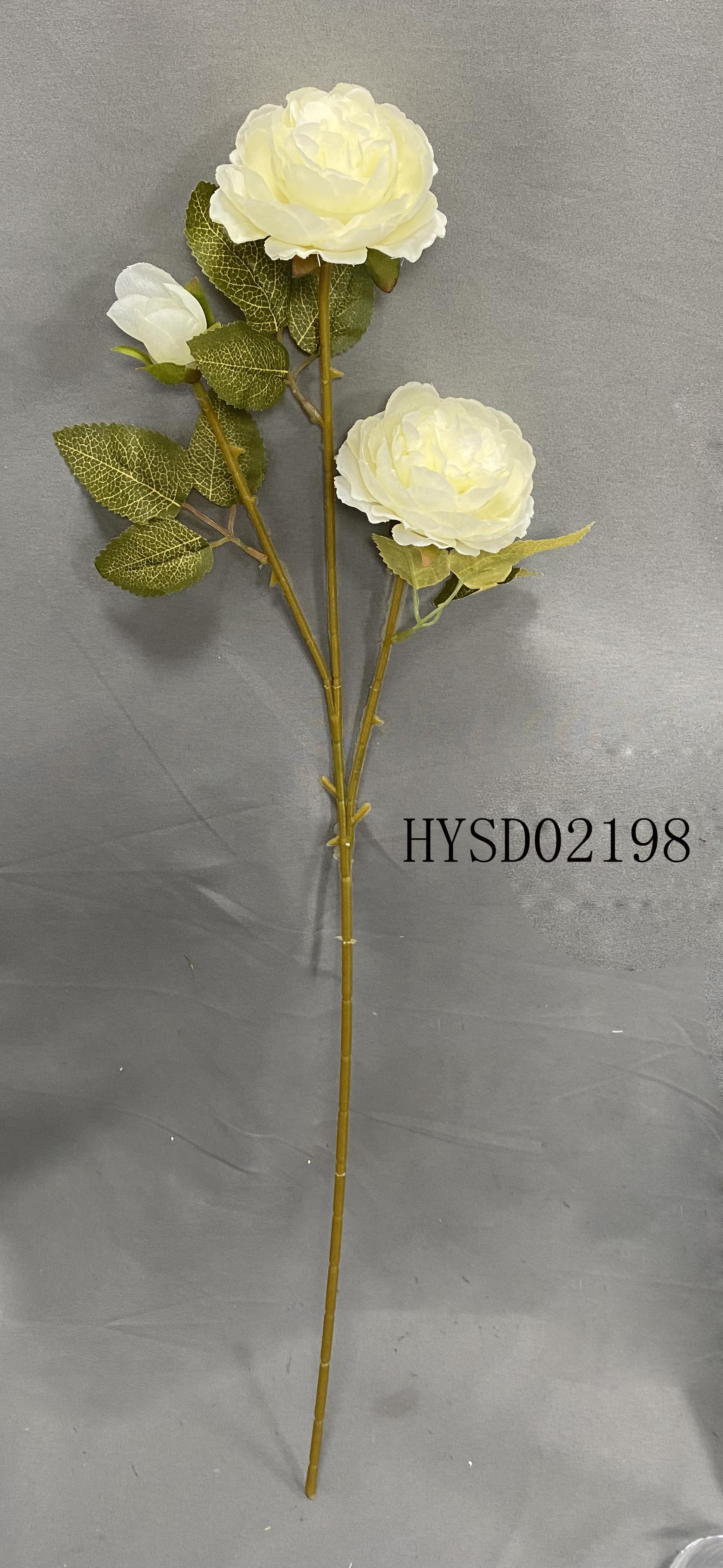 HYSD02198