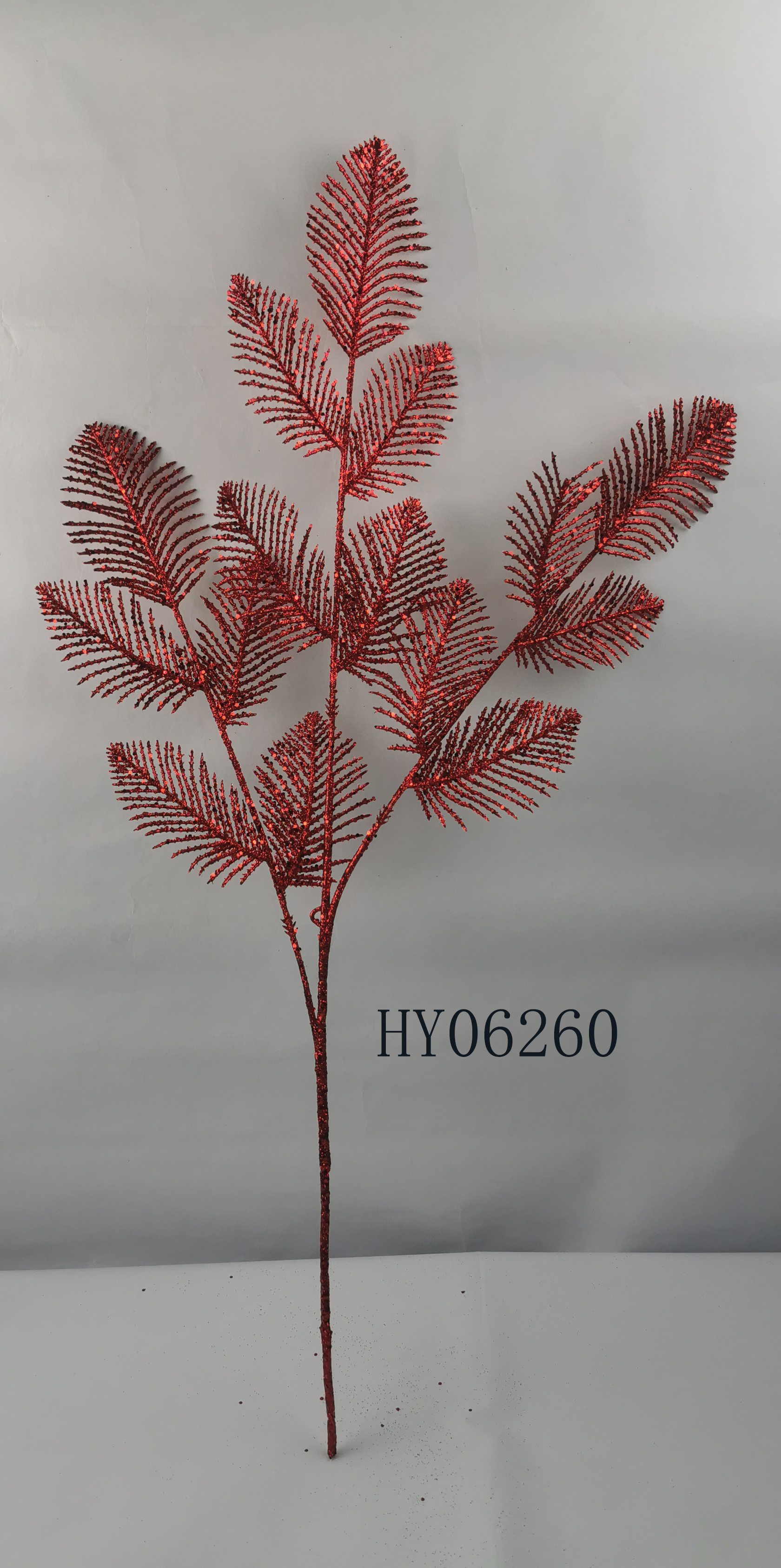 HY06260