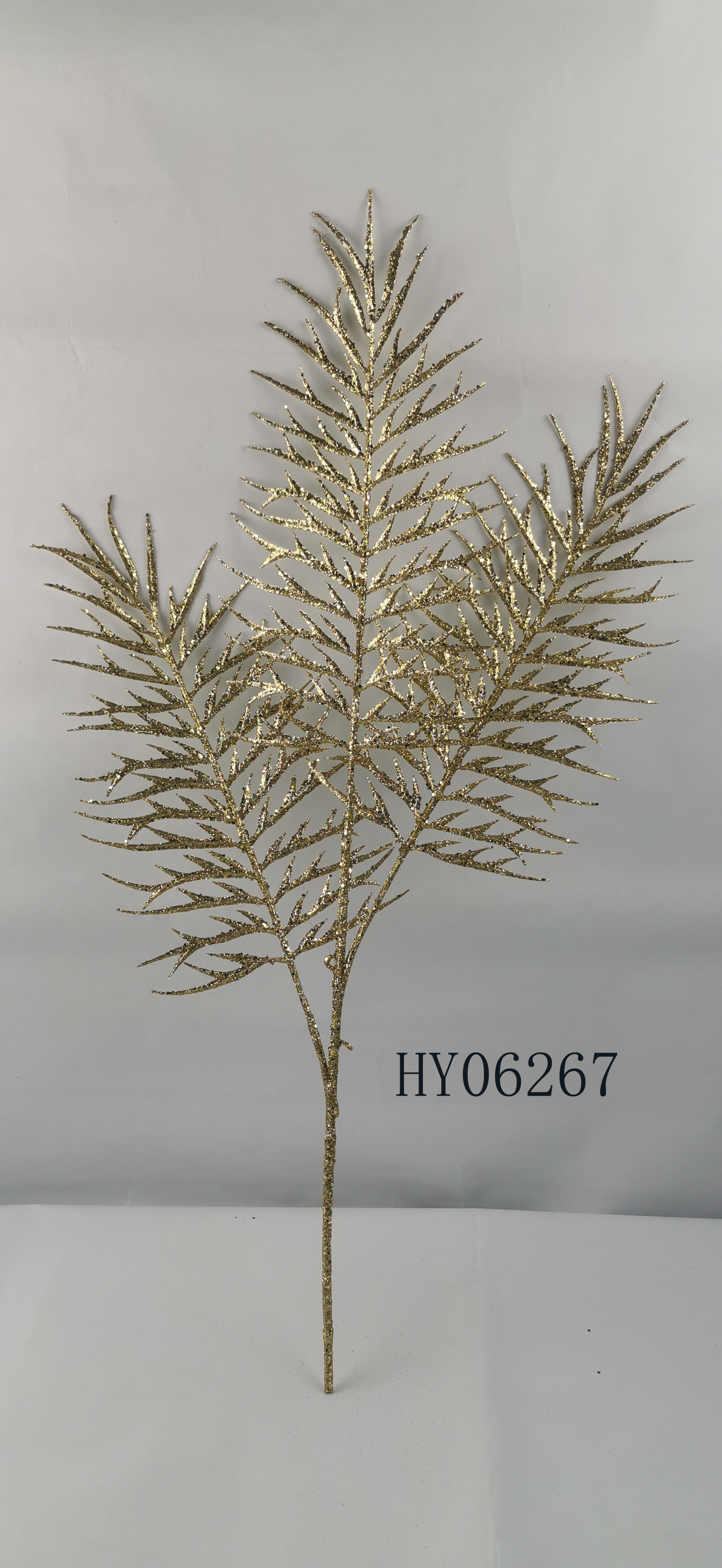 HY06267