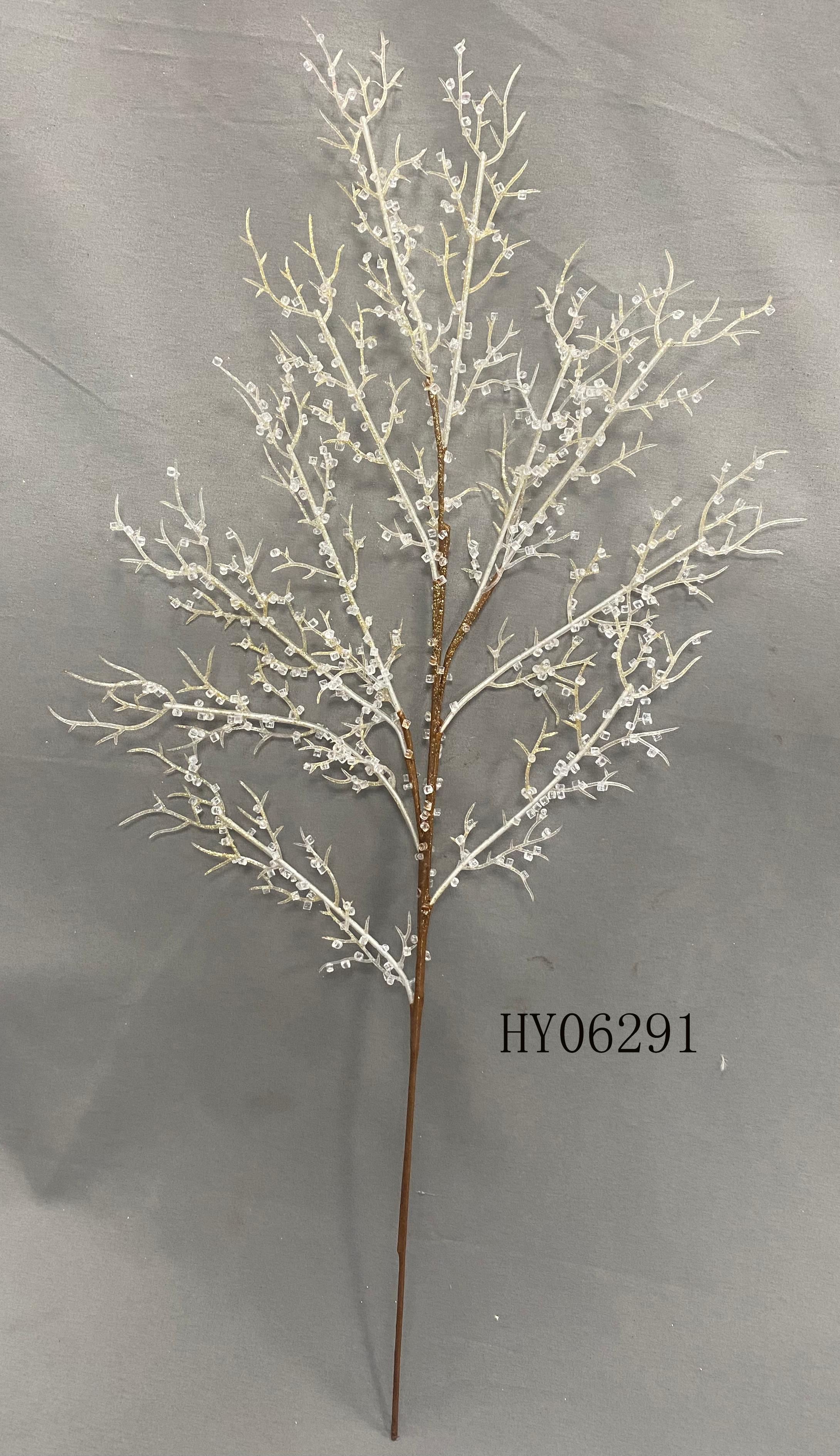 HY06291
