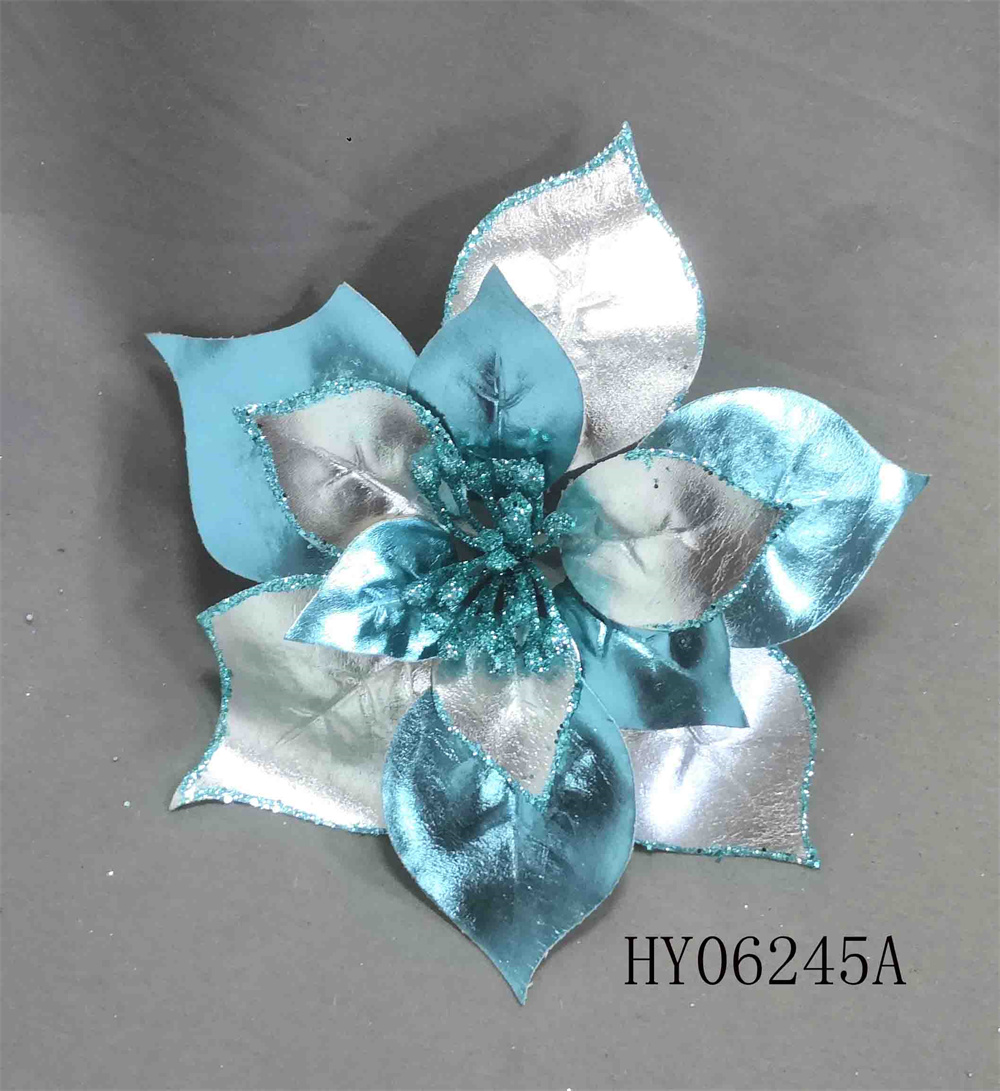 HY06245A
