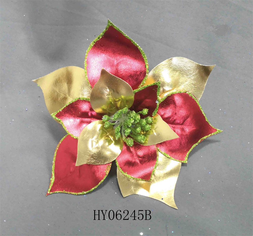 HY06245B