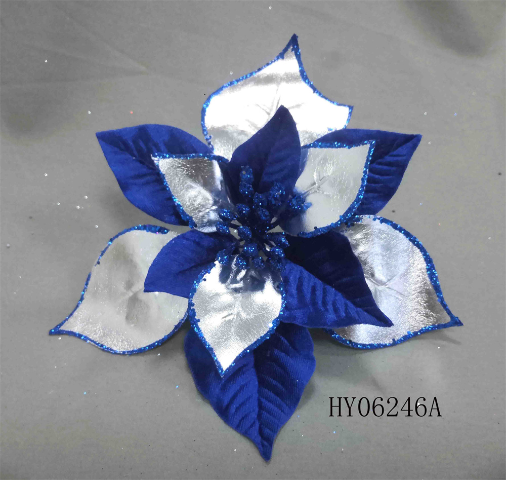 HY06246A