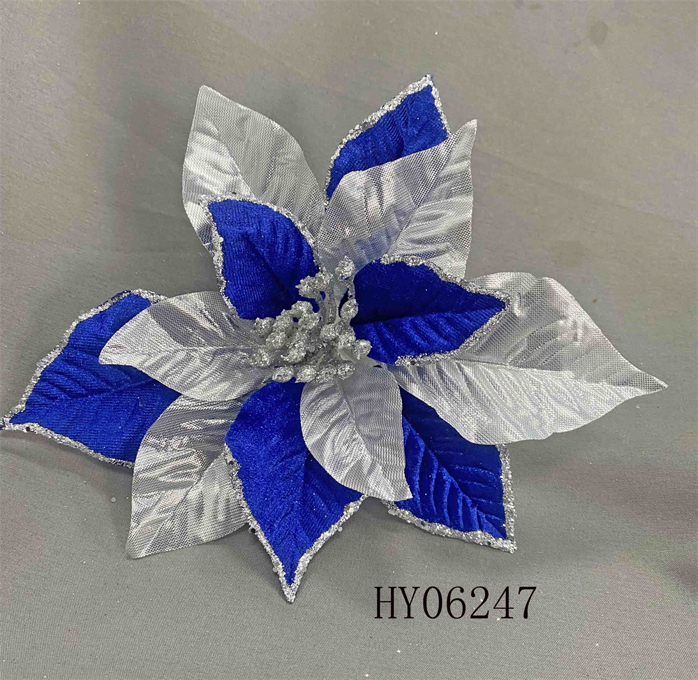 HY06247