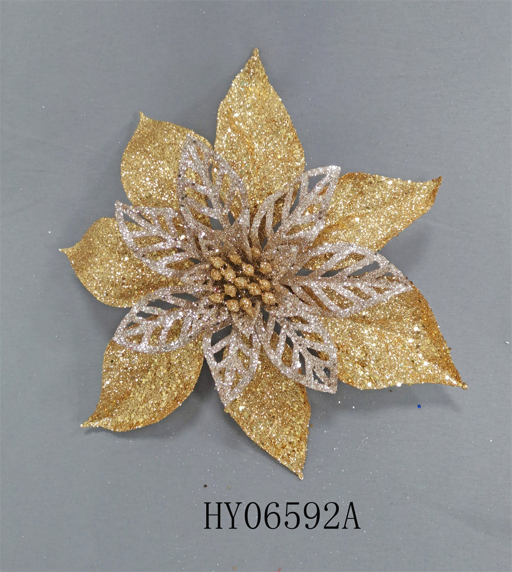 HY06592A